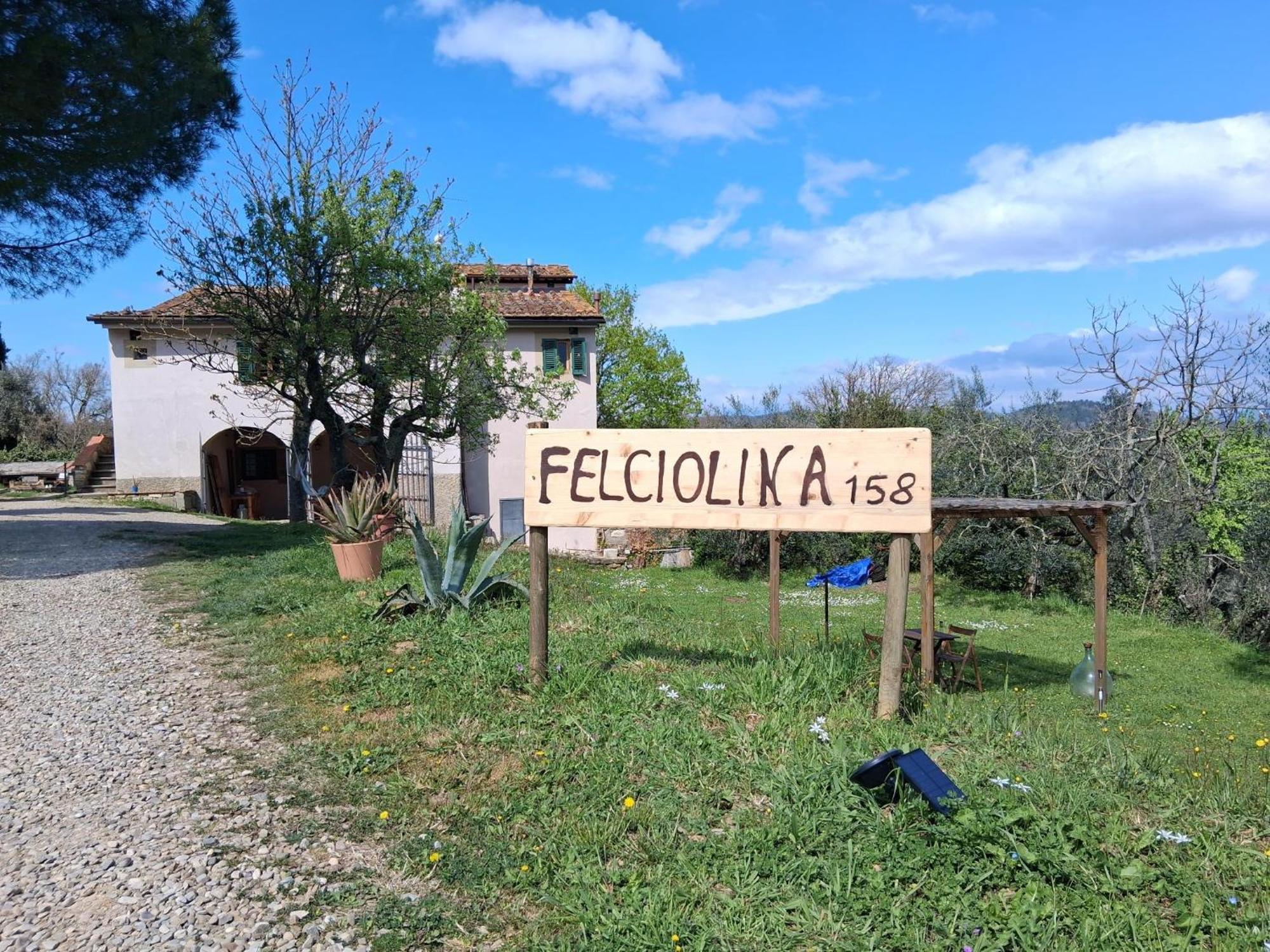 Apartment Felciolina - Medieval